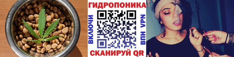 Canna-Cookies конопля  Лодейное Поле 