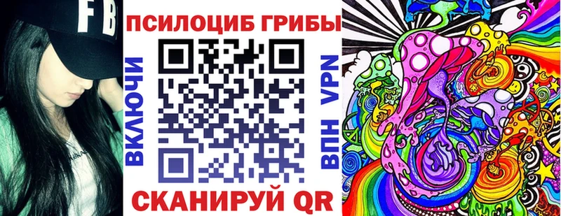 Галлюциногенные грибы Cubensis  закладка  Лодейное Поле 